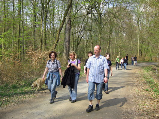 Unterwegs im HÃ¶hrer-Wald