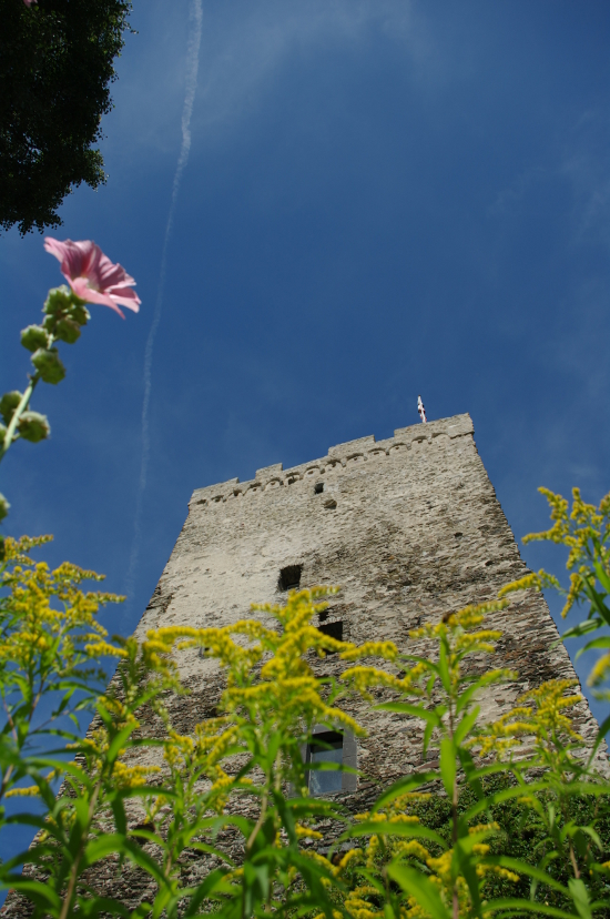 TB127935 Die Burg ist ein wahres Kleinod